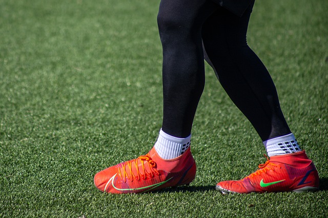 的教练员 的教练员