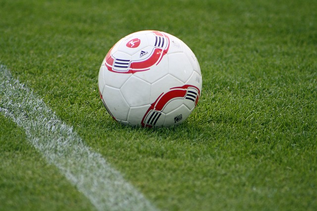 益阳市羽毛 益阳市羽毛