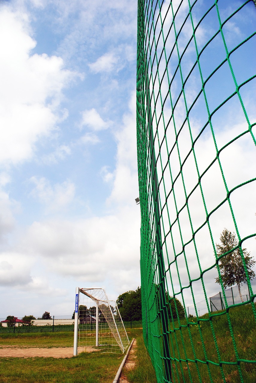 了一种全新 了一种全新