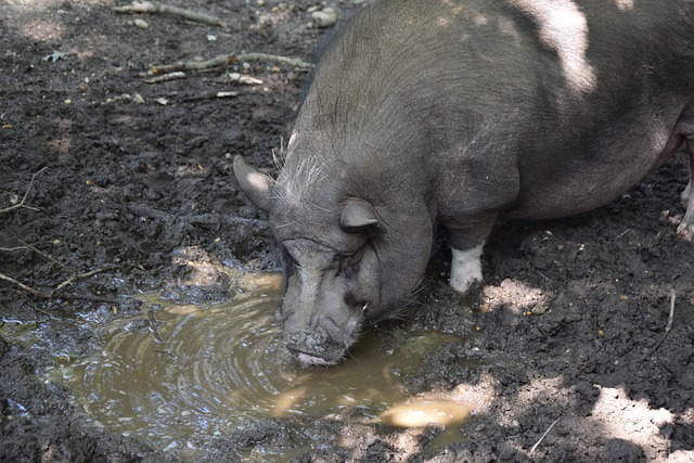 强大的潜力 强大的潜力