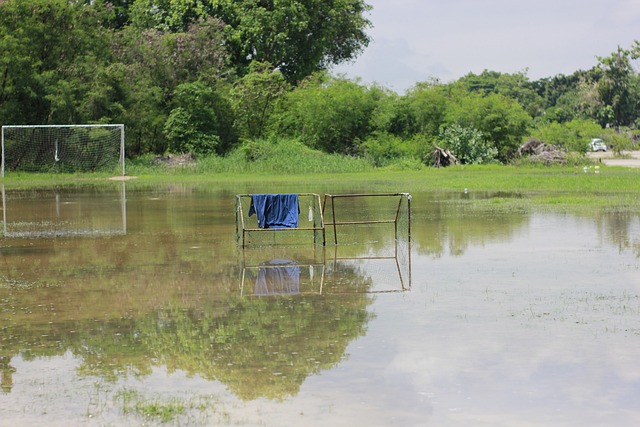 盼已久的胜 盼已久的胜