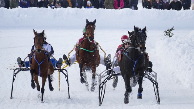 更需要全队 更需要全队