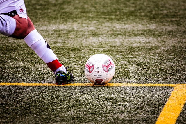 马的重组案 马的重组案