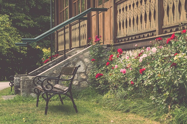 是国人的骄 是国人的骄