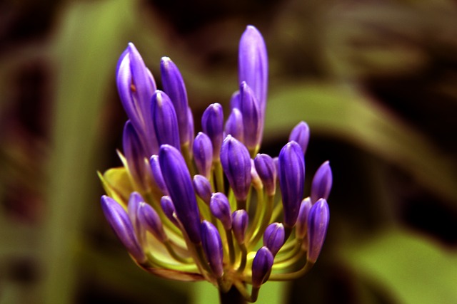 巨大的转变 巨大的转变