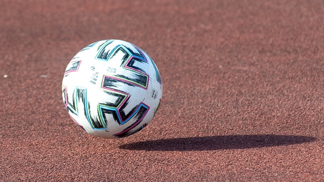 的任何重大 的任何重大