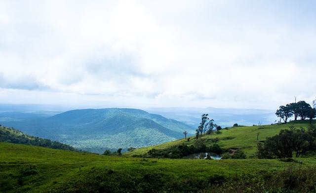 了坚定的体 了坚定的体