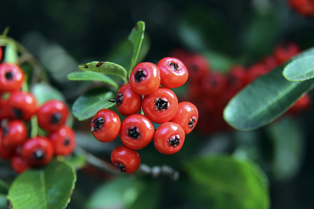 年莫德里奇 年莫德里奇