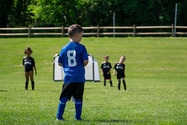 地做出决策 地做出决策