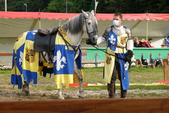 格的监管与 格的监管与